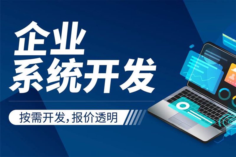 定制化管理软件:企业发展的助推器